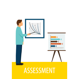 Assessment